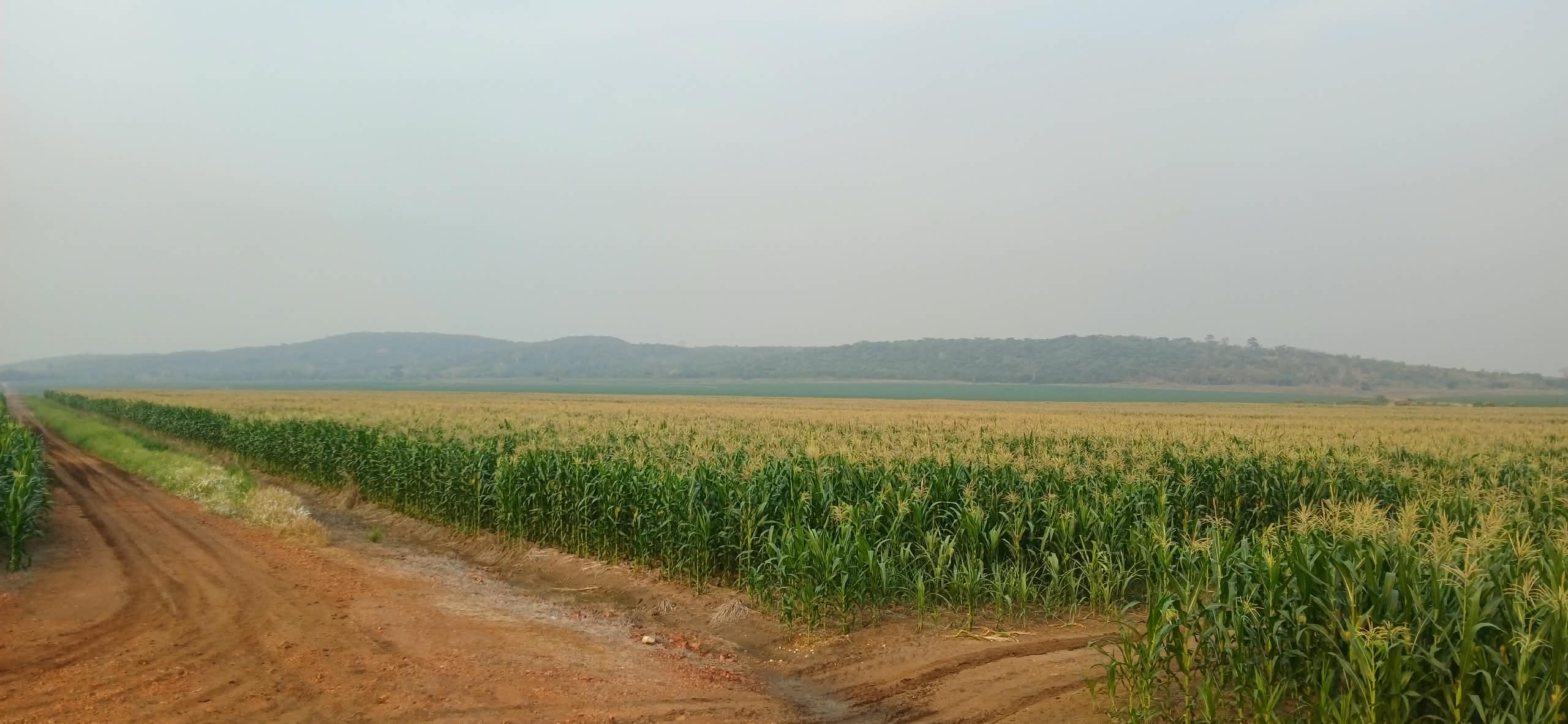 Field Operations at Goshen Porche Ranch